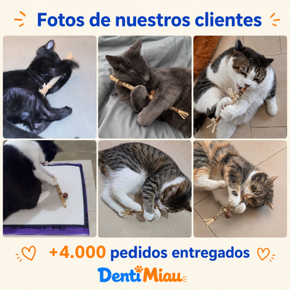 DentiMiau™ | Pack de Sticks Dentales para tu gato