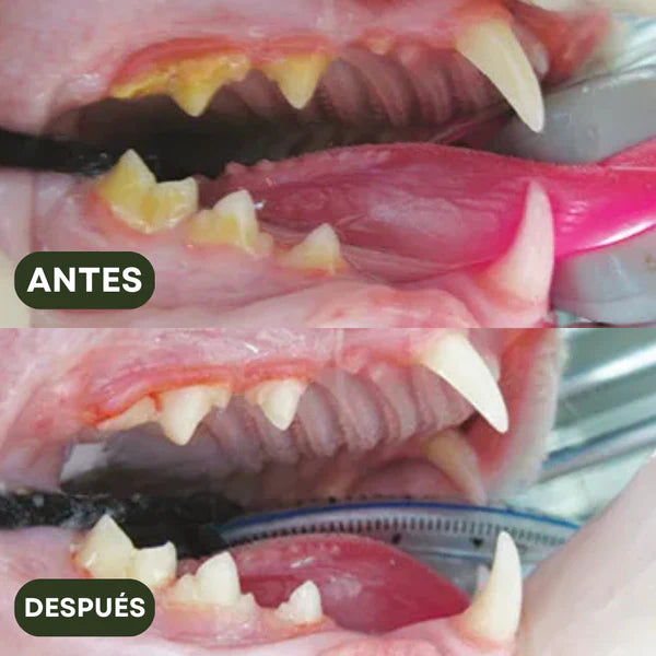 DentiMiau™ | Pack de Sticks Dentales para tu gato