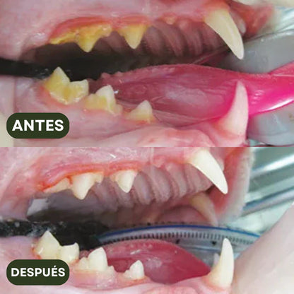 DentiMiau™ | Pack de Sticks Dentales para tu gato