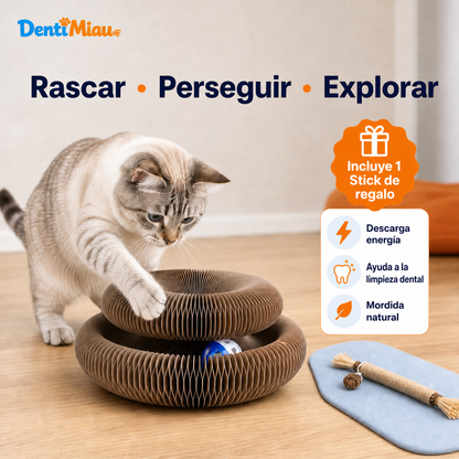 RascaMiau 360™ | Rascador Interactivo Transformable con Pelota