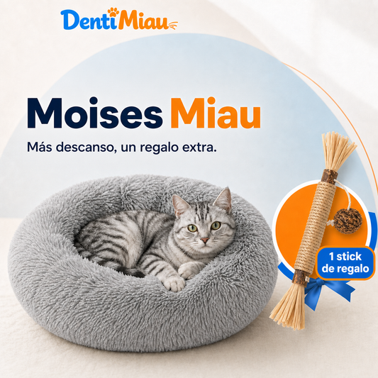 Moises Miau™ | El refugio que tu michi merece + 1 Stick de regalo