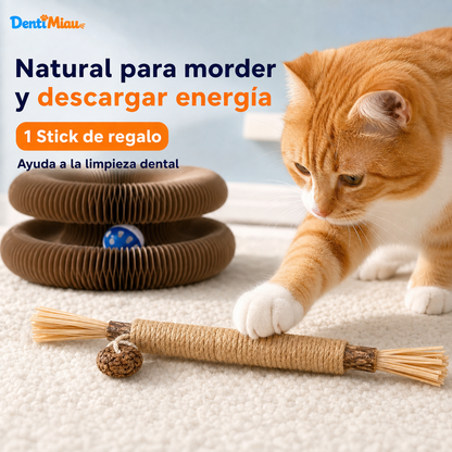 RascaMiau 360™ | Rascador Interactivo Transformable con Pelota